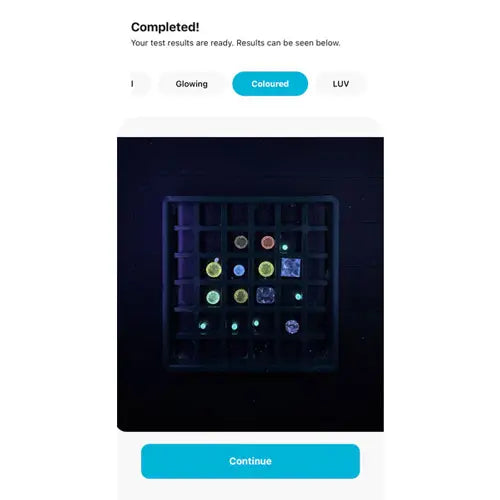 Yehuda Sherlock Holmes 4.0